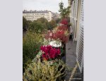 AU JARDIN D'EDGAR Paris 04